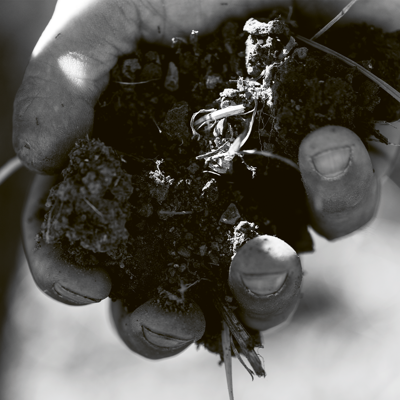 Zeit für die nächste Generation