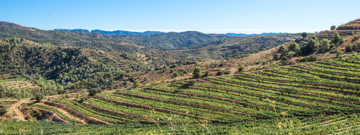 Priorat