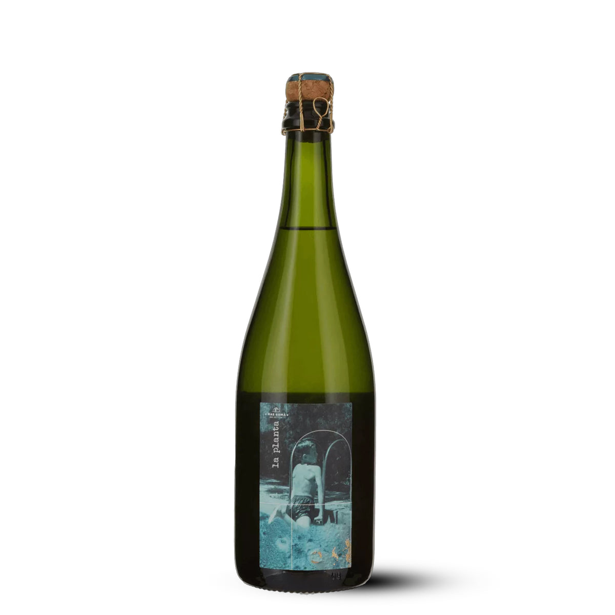 La planta Brut Nature Metode Tradicional Mas Gomà