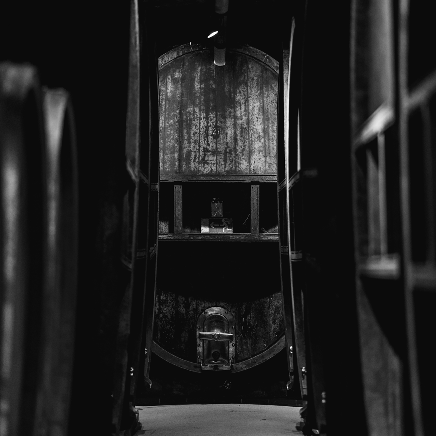 Tempus Fugit - Die Zeit vergeht.