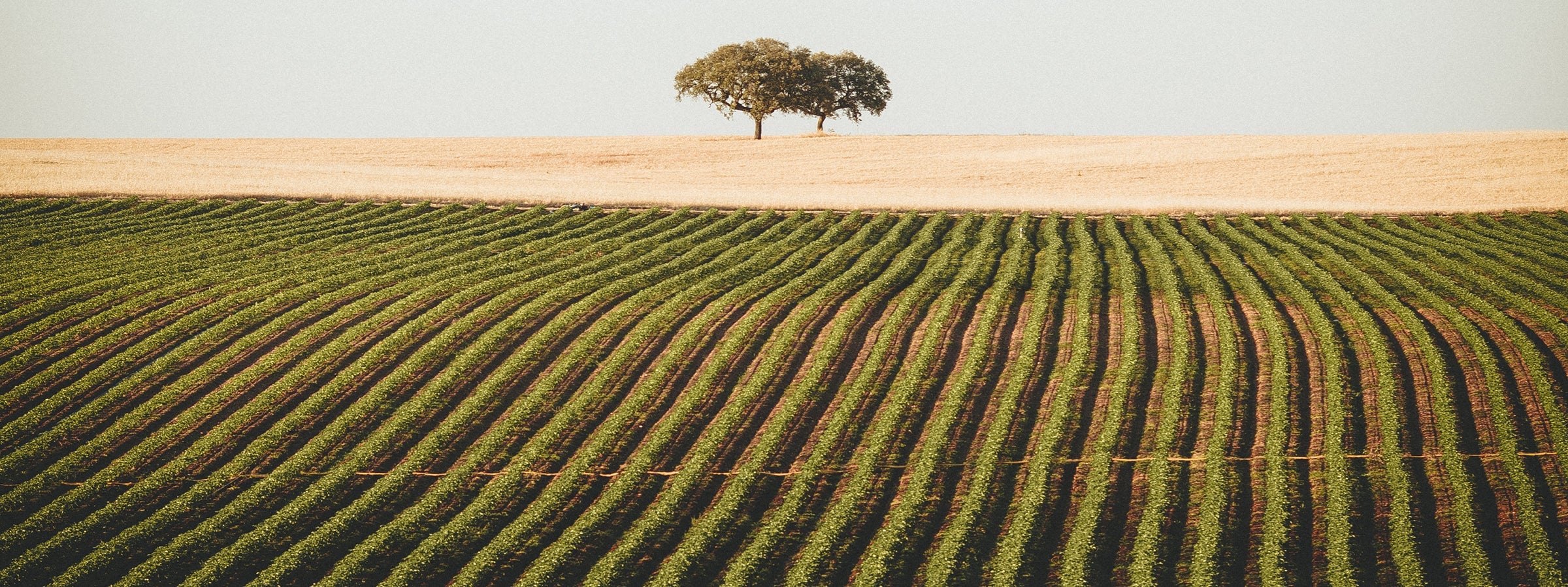 Alentejo