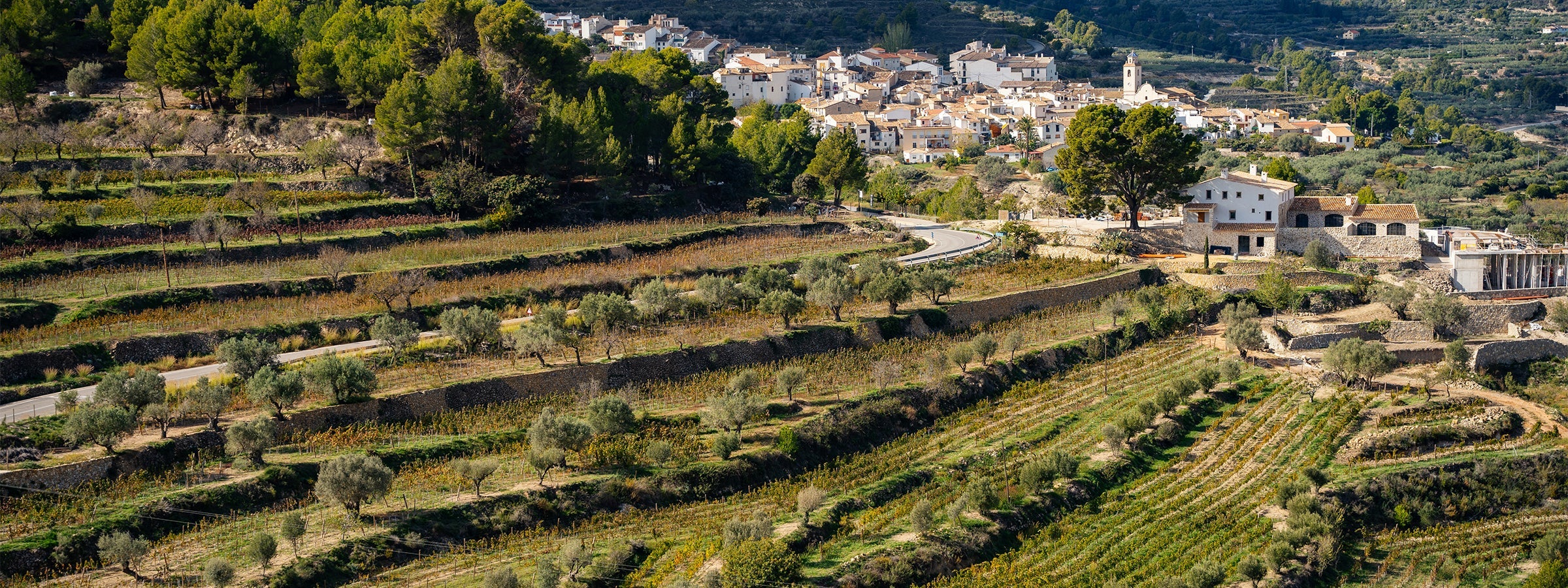 Alicante
