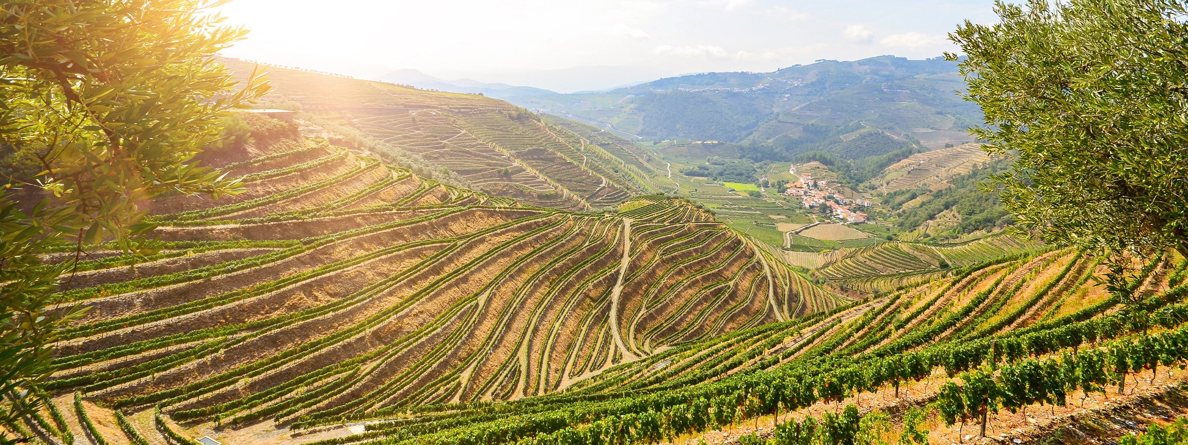 Douro