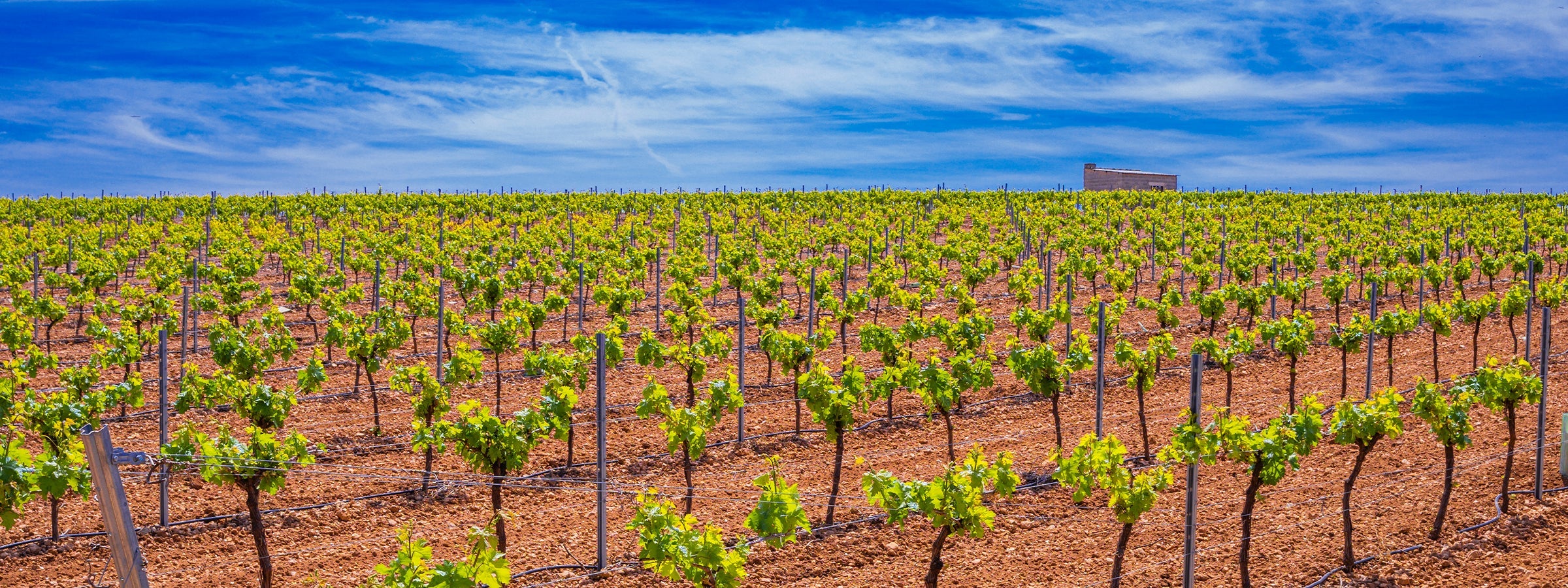 La Mancha