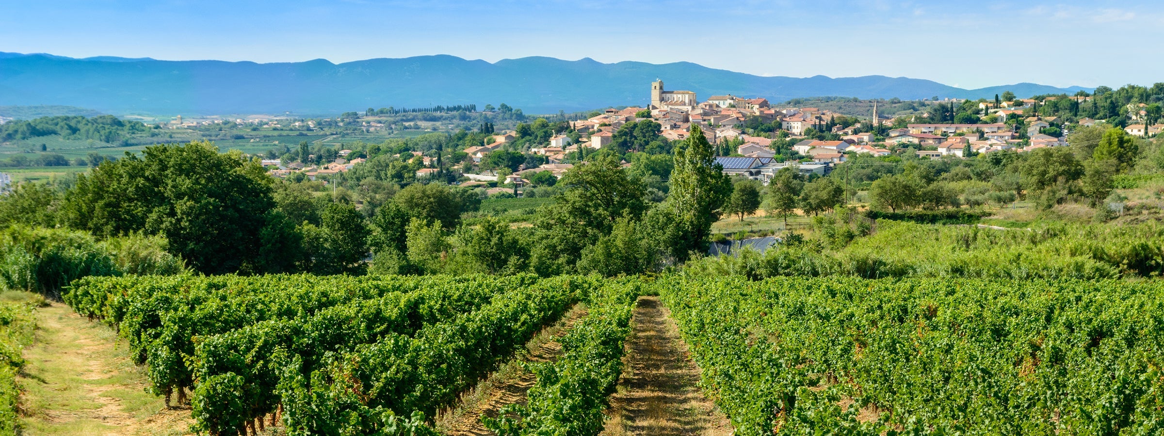 Languedoc