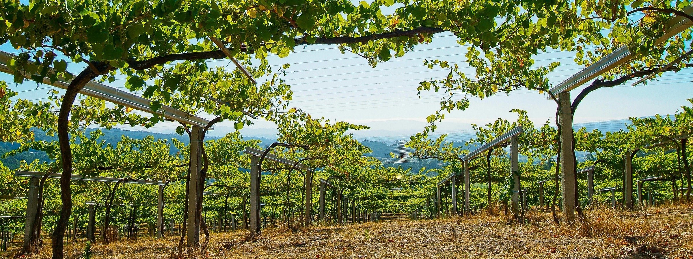 Rias Baixas