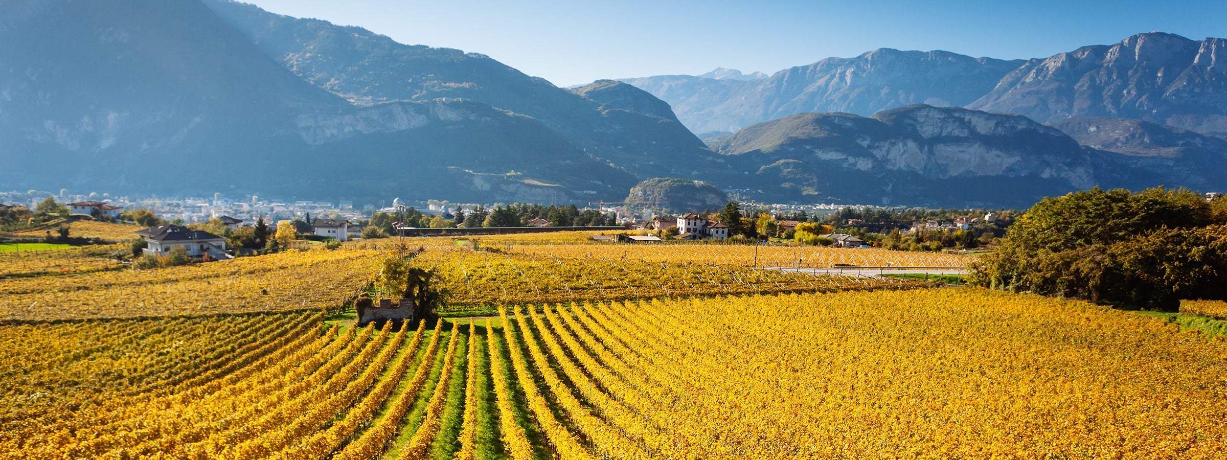 Trentino
