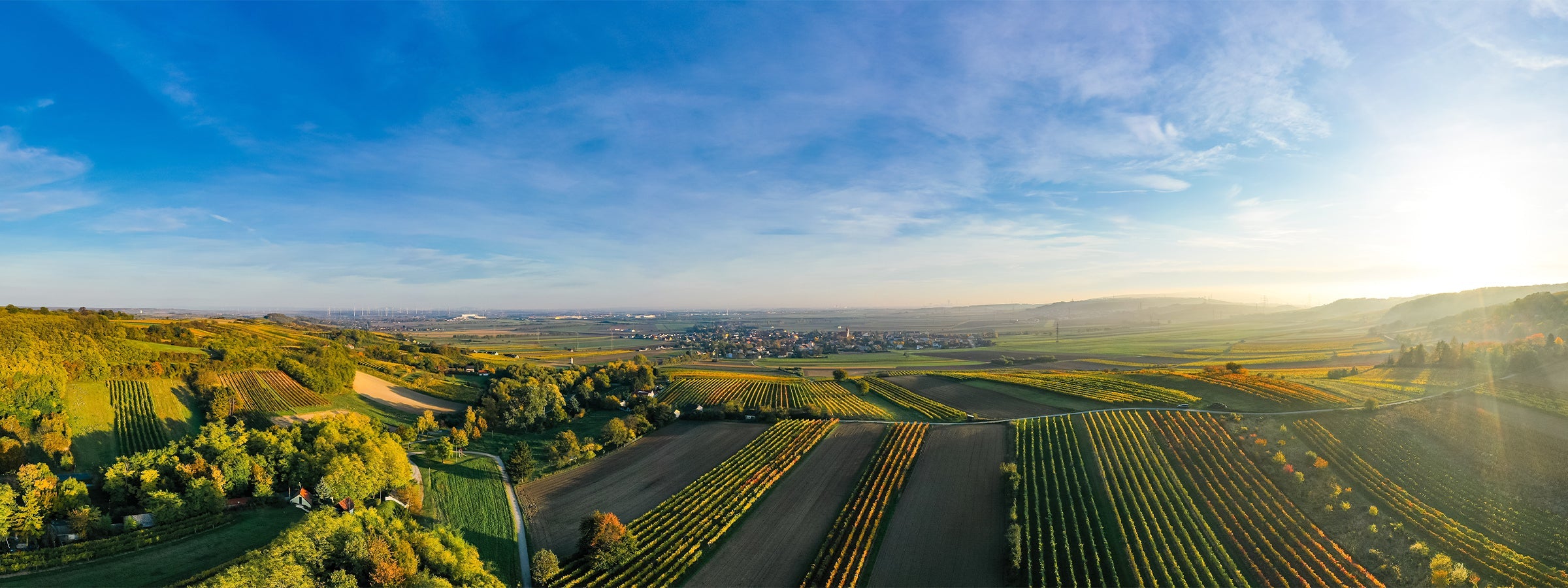 Weinviertel