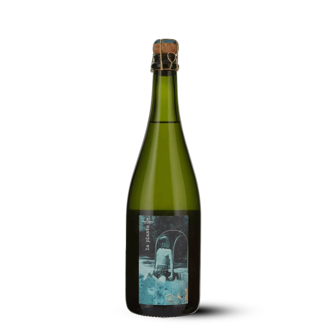 La planta Brut Nature Metode Tradicional Mas Gomà